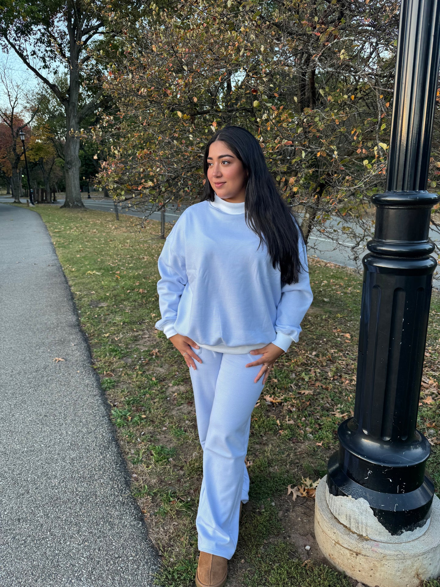 FROSTED STRIPES MOCKNECK